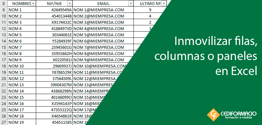 Inmovilizar o paneles en Excel - CEDIFORMACIO